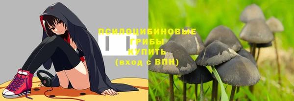 МДМА Богородицк