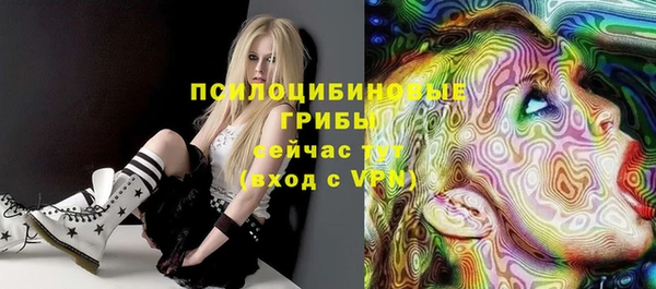 apvp Балахна