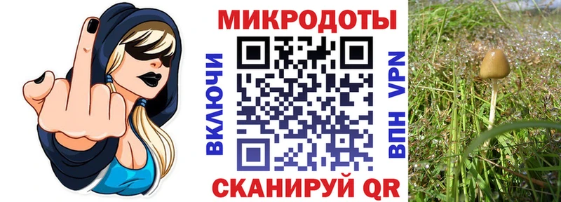 дарк нет как зайти  Невель  Псилоцибиновые грибы Psilocybe  купить наркоту 